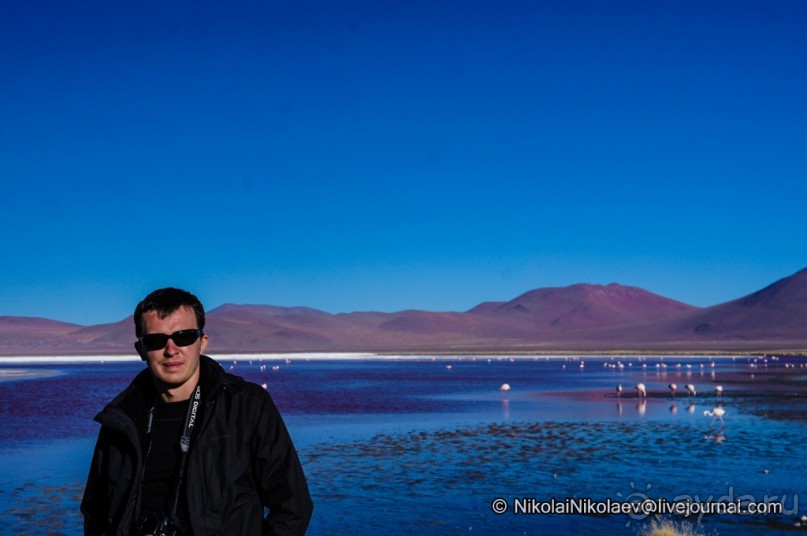 Альбом отзыва "Покорение Америки ч-12. День 10: Марсианская сага 2 (Near Eduardo Avaroa National Reserve, Bolivia)"