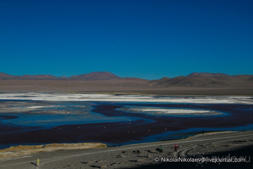 Альбом отзыва "Покорение Америки ч-12. День 10: Марсианская сага 2 (Near Eduardo Avaroa National Reserve, Bolivia)"