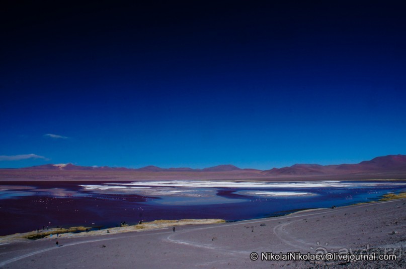 Альбом отзыва "Покорение Америки ч-12. День 10: Марсианская сага 2 (Near Eduardo Avaroa National Reserve, Bolivia)"