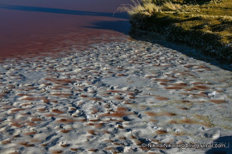 Альбом отзыва "Покорение Америки ч-12. День 10: Марсианская сага 2 (Near Eduardo Avaroa National Reserve, Bolivia)"