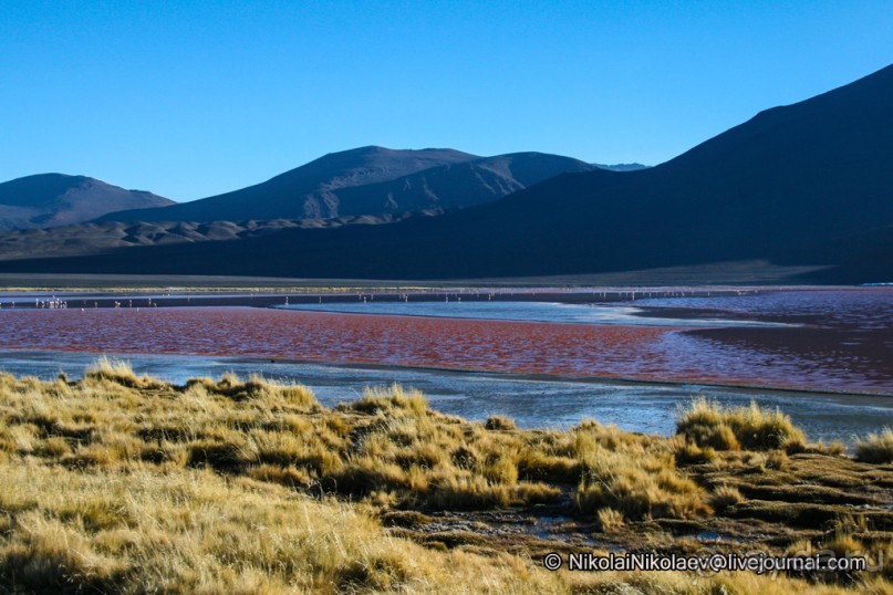 Альбом отзыва "Покорение Америки ч-12. День 10: Марсианская сага 2 (Near Eduardo Avaroa National Reserve, Bolivia)"