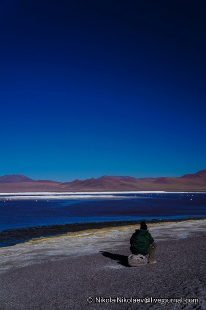 Альбом отзыва "Покорение Америки ч-12. День 10: Марсианская сага 2 (Near Eduardo Avaroa National Reserve, Bolivia)"