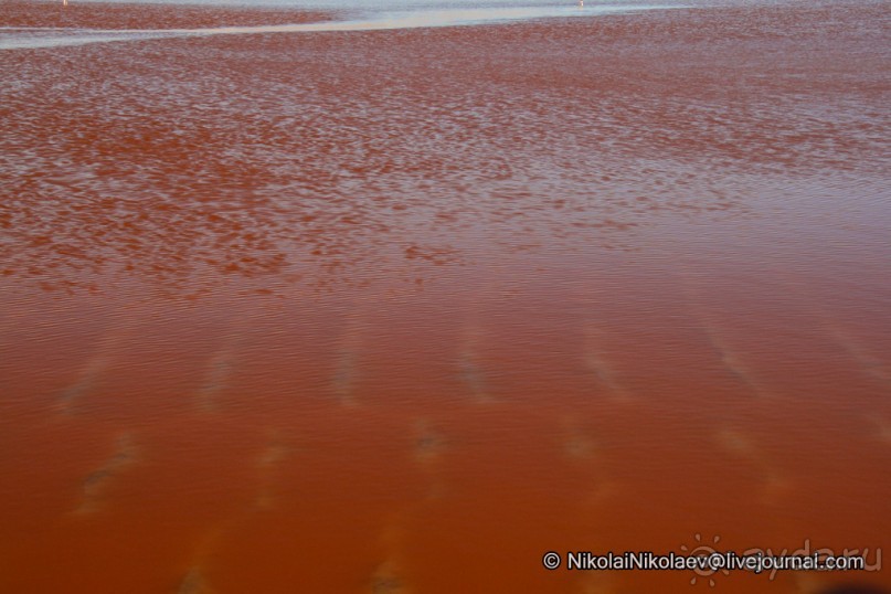 Альбом отзыва "Покорение Америки ч-12. День 10: Марсианская сага 2 (Near Eduardo Avaroa National Reserve, Bolivia)"