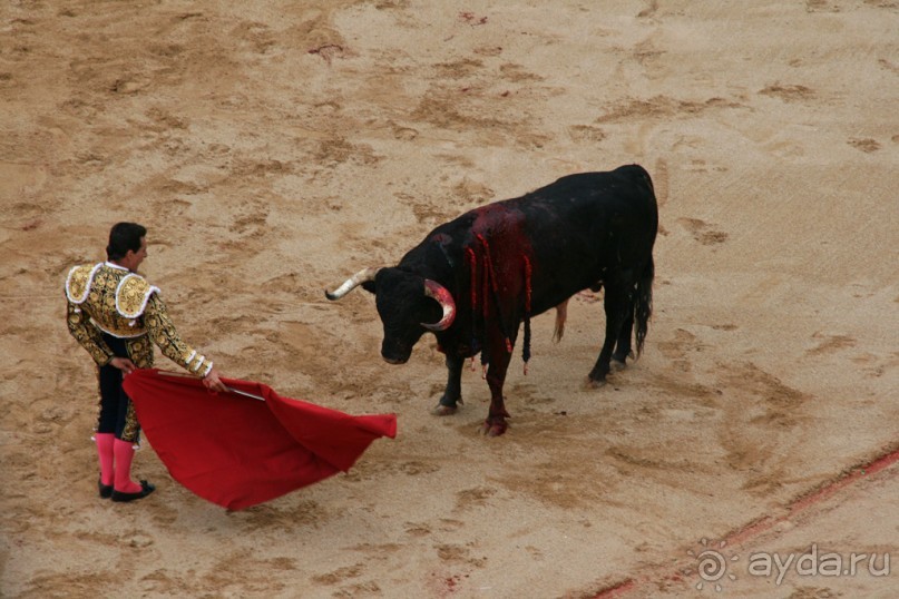 Альбом отзыва "Коррида: вдесятером на одного (Pamplona, Spain)"