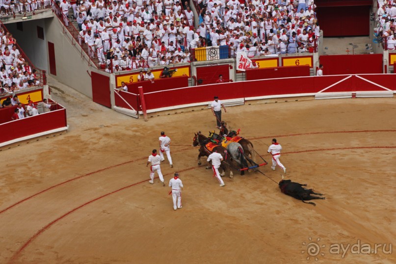 Альбом отзыва "Коррида: вдесятером на одного (Pamplona, Spain)"