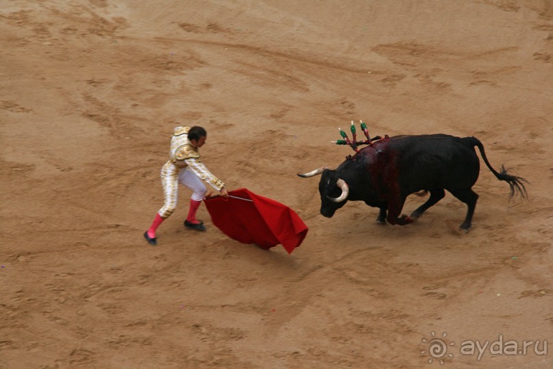 Альбом отзыва "Коррида: вдесятером на одного (Pamplona, Spain)"