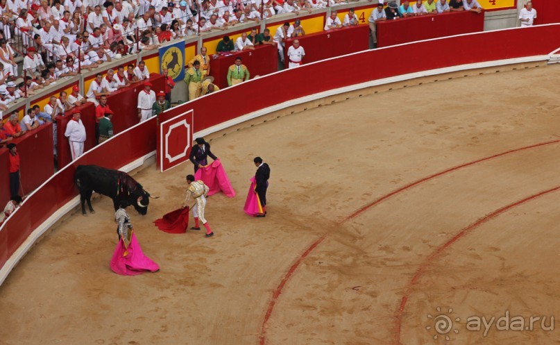 Альбом отзыва "Коррида: вдесятером на одного (Pamplona, Spain)"