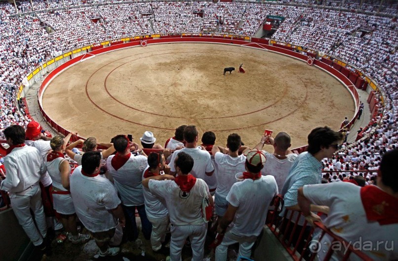 Альбом отзыва "Коррида: вдесятером на одного (Pamplona, Spain)"