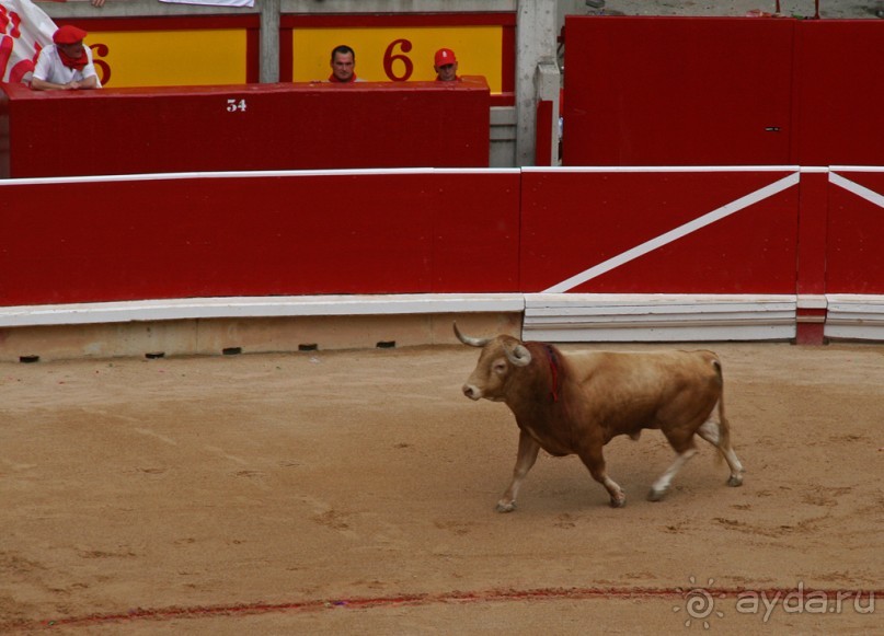 Альбом отзыва "Коррида: вдесятером на одного (Pamplona, Spain)"