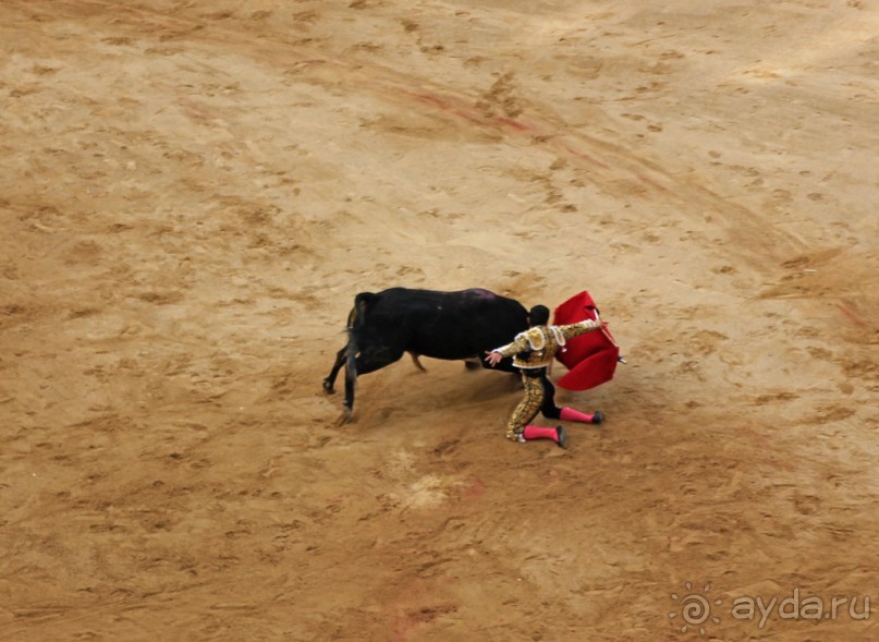 Альбом отзыва "Коррида: вдесятером на одного (Pamplona, Spain)"