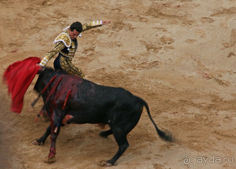 Альбом отзыва "Коррида: вдесятером на одного (Pamplona, Spain)"