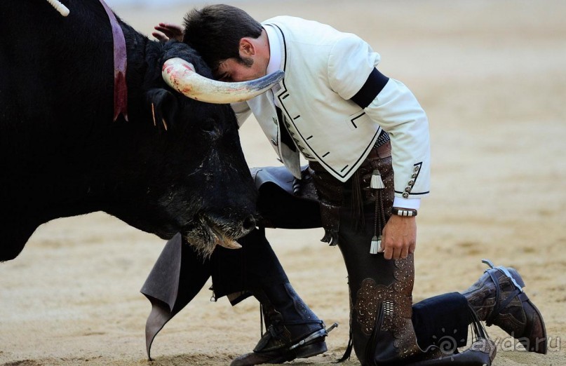 Альбом отзыва "Коррида: вдесятером на одного (Pamplona, Spain)"