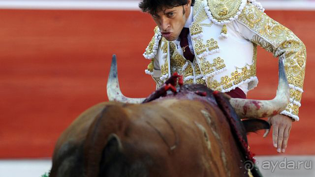 Альбом отзыва "Коррида: вдесятером на одного (Pamplona, Spain)"