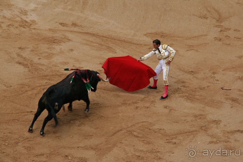 Альбом отзыва "Коррида: вдесятером на одного (Pamplona, Spain)"