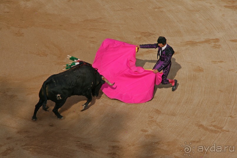 Альбом отзыва "Коррида: вдесятером на одного (Pamplona, Spain)"