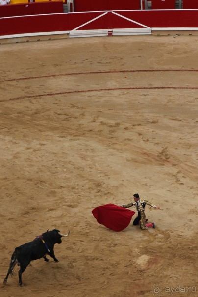 Альбом отзыва "Коррида: вдесятером на одного (Pamplona, Spain)"