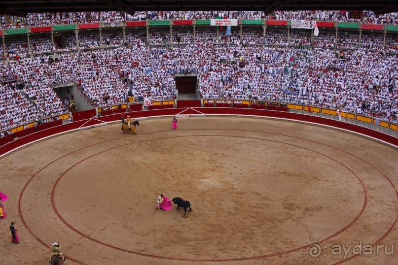 Альбом отзыва "Коррида: вдесятером на одного (Pamplona, Spain)"