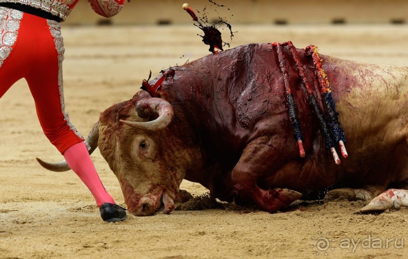 Альбом отзыва "Коррида: вдесятером на одного (Pamplona, Spain)"