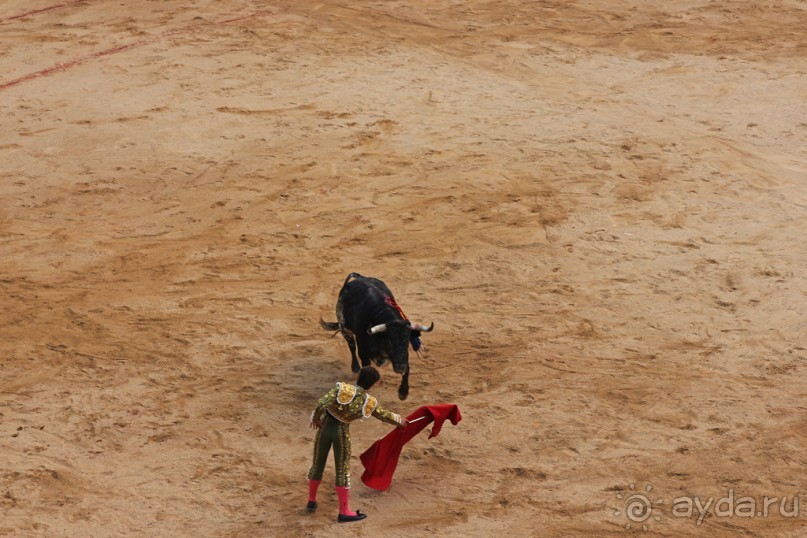 Альбом отзыва "Коррида: вдесятером на одного (Pamplona, Spain)"