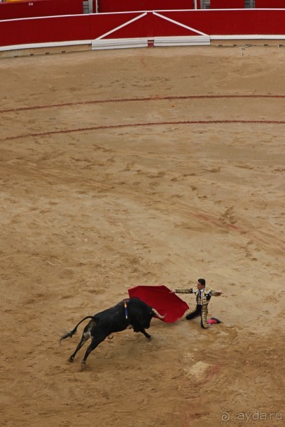 Альбом отзыва "Коррида: вдесятером на одного (Pamplona, Spain)"