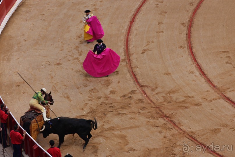 Альбом отзыва "Коррида: вдесятером на одного (Pamplona, Spain)"