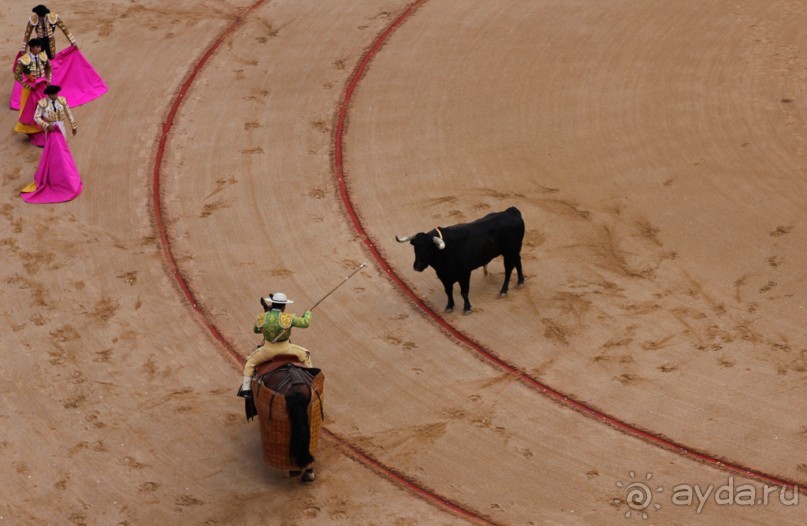 Альбом отзыва "Коррида: вдесятером на одного (Pamplona, Spain)"