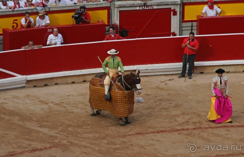 Альбом отзыва "Коррида: вдесятером на одного (Pamplona, Spain)"