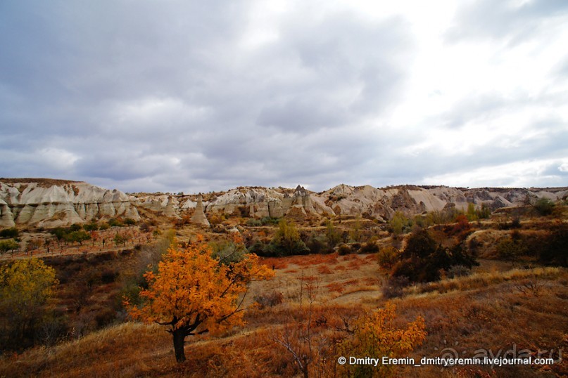 Альбом отзыва "Долина Любви (Kappadokiya, Turkey)"