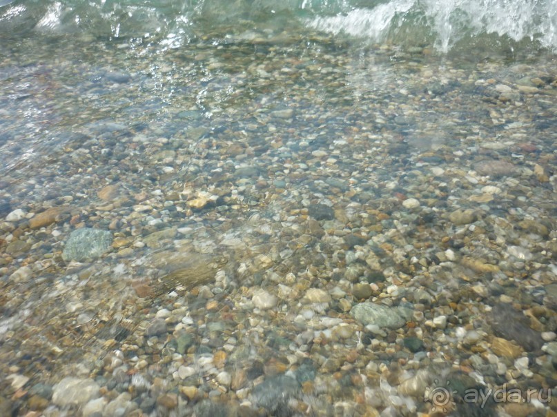 Альбом отзыва "Как Бус и Карамелька впервые море увидели. Абхазия, Пицунда, Рыбзавод 2015...."