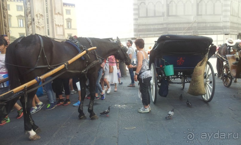 Альбом отзыва "Башенный забег в канун Нового года. (Пиза, Флоренция, Лукка)"