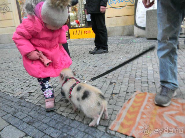 Альбом отзыва "Сказочная Прага"