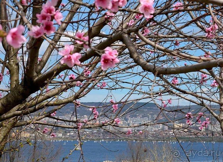 Альбом отзыва "Солнечная Болгария 2015 – Варна, Золотые Пески, Солнечный Берег"