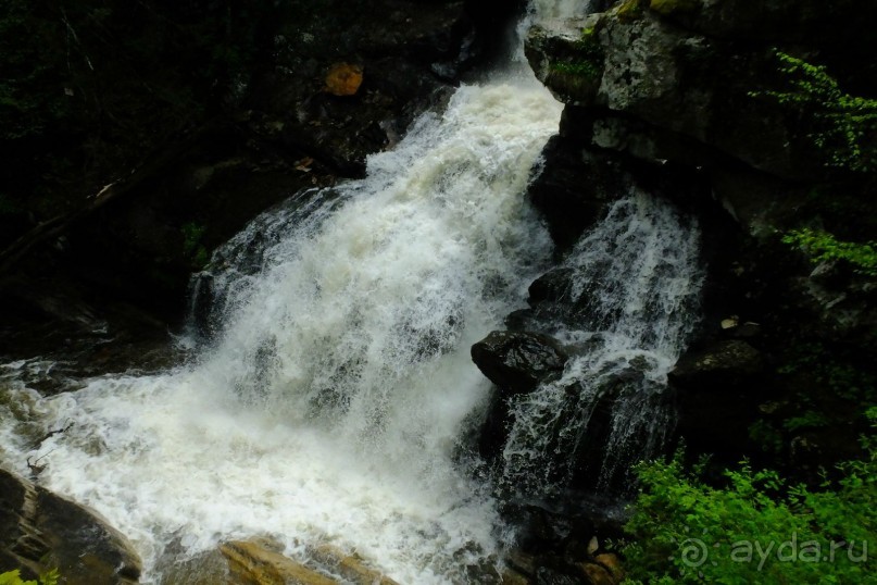 Альбом отзыва "Кентский Водопад – самый красивый в Коннектикуте"