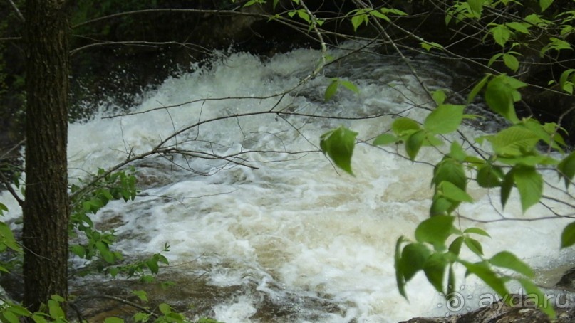 Альбом отзыва "Кентский Водопад – самый красивый в Коннектикуте"