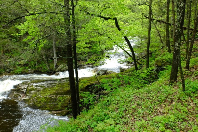 Альбом отзыва "Кентский Водопад – самый красивый в Коннектикуте"