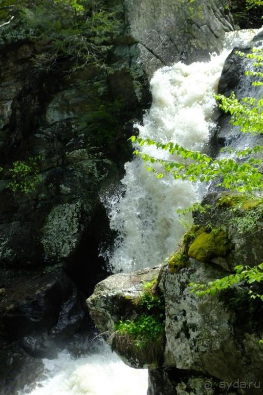 Альбом отзыва "Кентский Водопад – самый красивый в Коннектикуте"