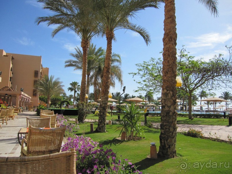 Movenpick soma bay отзывы. Movenpick Resort Soma Bay. Movenpick Resort Soma Bay 5. Мёвенпик отель. Movenpick Resort Soma Bay фото.