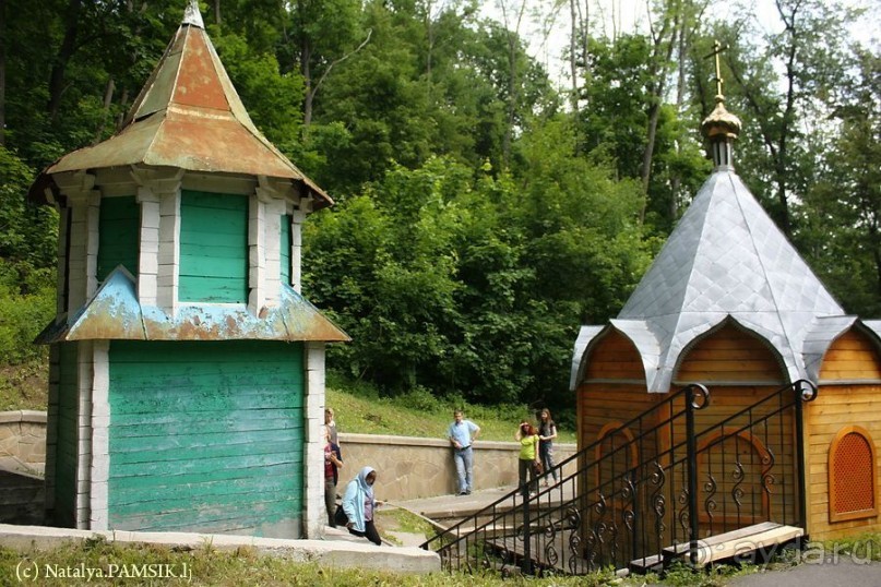 Альбом отзыва "Образ Богородицы, найденный в корнях дерева. Курская Коренная пустынь"