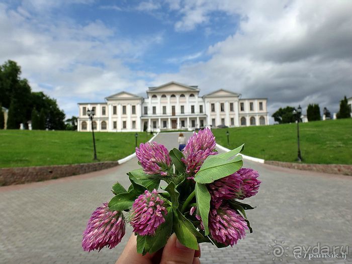 Альбом отзыва "Подмосковный Нотр-Дам - Церковь Знамения в Дубровицах /Подвесной мост в Лемешево"