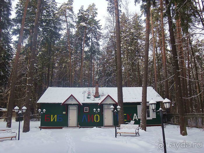 Альбом рассказа "«Розы и шипы» К.И.Чуковского. Дом-музей в Переделкино"