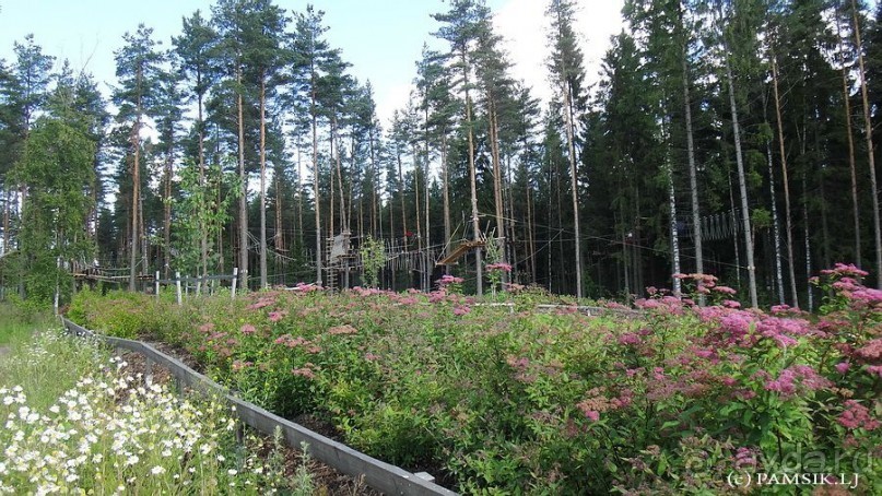 Альбом отзыва "Верёвочный ПАРК ПРИКЛЮЧЕНИЙ KORKEE PALOHEINÄ (Adventure Park Korkee Paloheinä) "