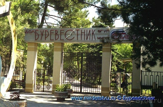 Буревестник