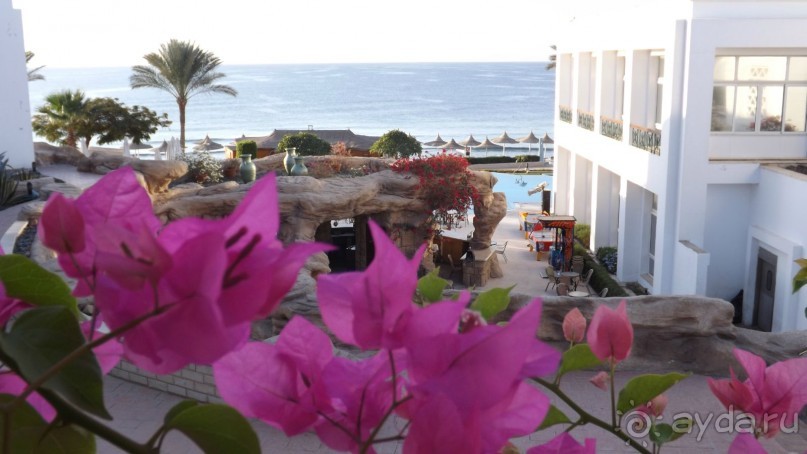 Альбом отзыва "Melia Sinai 5* - хороший вариант для зимнего отдыха"