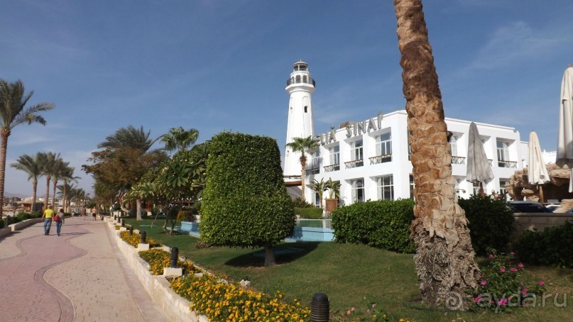 Альбом отзыва "Melia Sinai 5* - хороший вариант для зимнего отдыха"