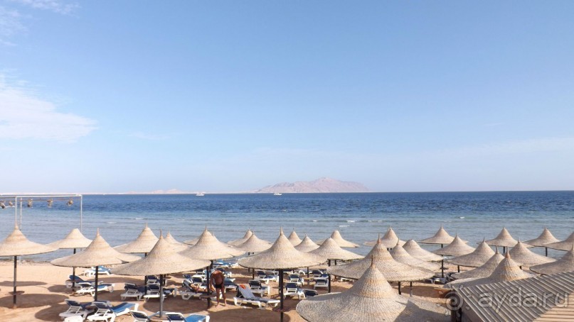 Альбом отзыва "Melia Sinai 5* - хороший вариант для зимнего отдыха"