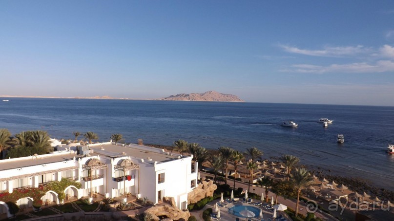 Альбом отзыва "Melia Sinai 5* - хороший вариант для зимнего отдыха"