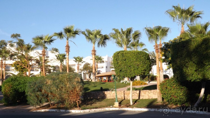 Альбом отзыва "Melia Sinai 5* - хороший вариант для зимнего отдыха"