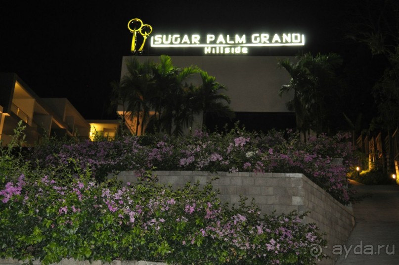 Palm grand hillside 4