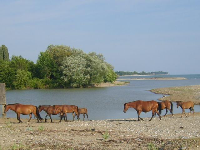 Гудаута