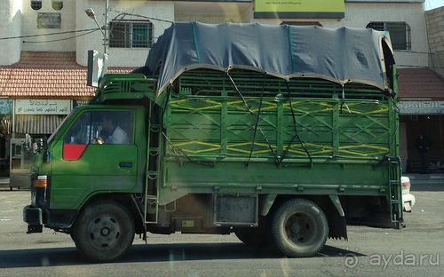 Альбом отзыва "Зимние иорданские каникулы на машине (через Израиль) – забавно, но повторять не хочется"